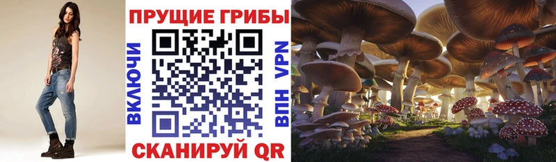 что такое наркотик Серафимович Псилоцибиновые грибы ЛСД